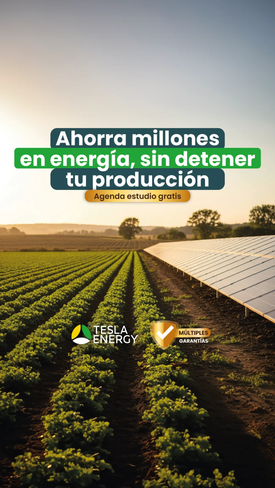 Tesla Energy
