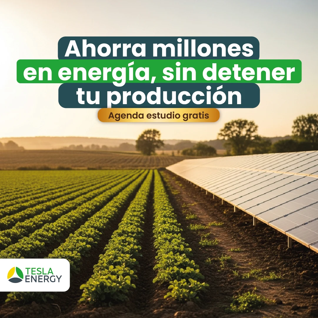 Tesla Energy
